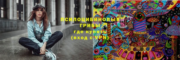 дмт Аркадак