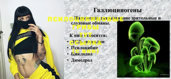 шишки Баксан