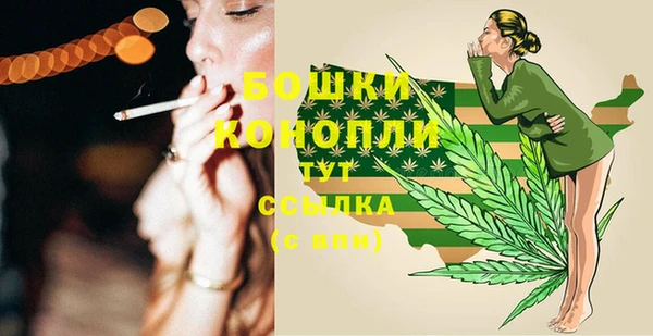 шишки Баксан